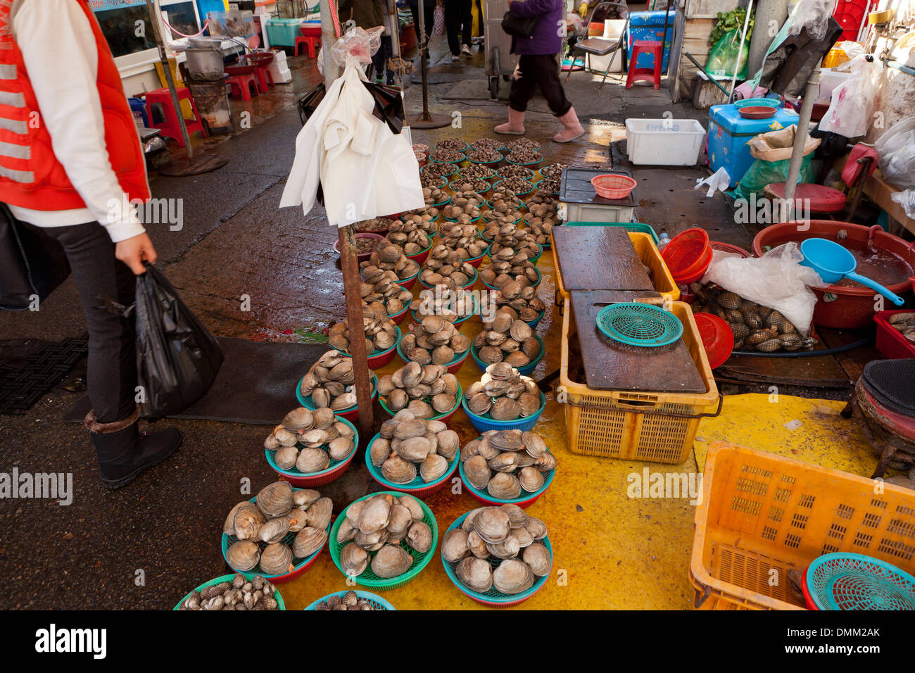 Schalentiere Anbieter am Jagalchi Shijang (traditionelle outdoor-Markt) - Busan, Südkorea Stockfoto