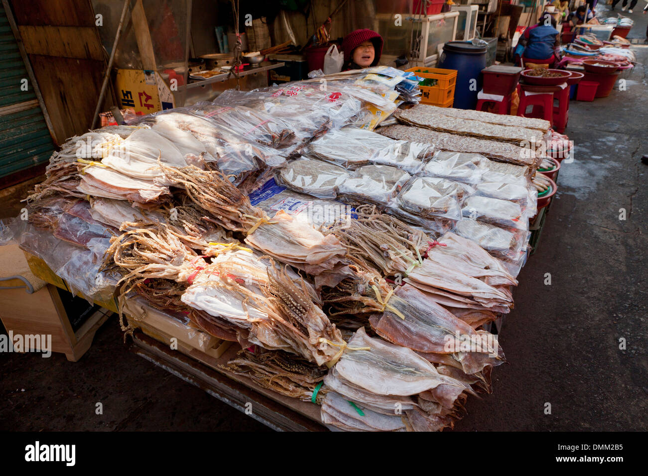 Bündel von getrockneten ganzen Tintenfisch am Jagalchi Shijang (traditionelle Markt) - Busan, Südkorea Stockfoto