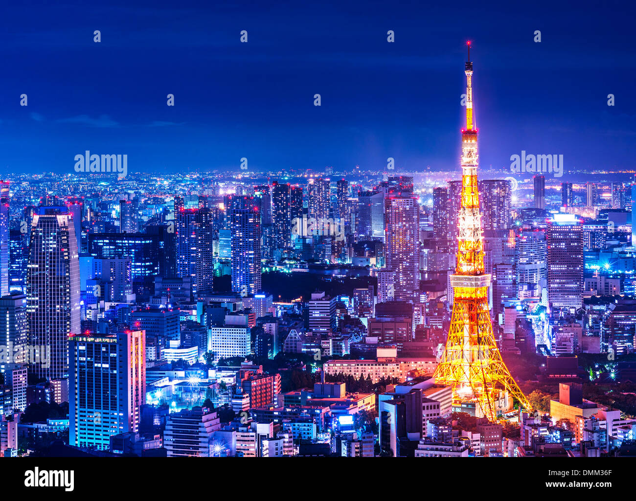 tokio birkenstock canada