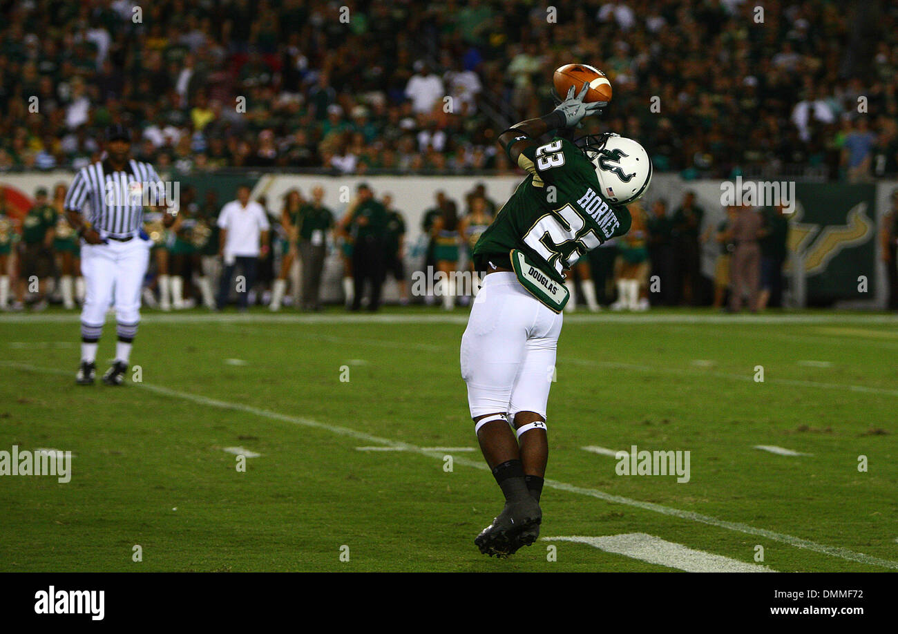 15. Oktober 2009: South Florida Wide Receiver Faron Hornes #23 fängt den Ball an der 10 Yard-Linie in der ersten Hälfte von der South Florida gegen Cincinnati College-Football-Spiel statt im Raymond James Stadium in Tampa, FL. (Credit-Bild: © Southcreek Global/ZUMApress.com) Stockfoto