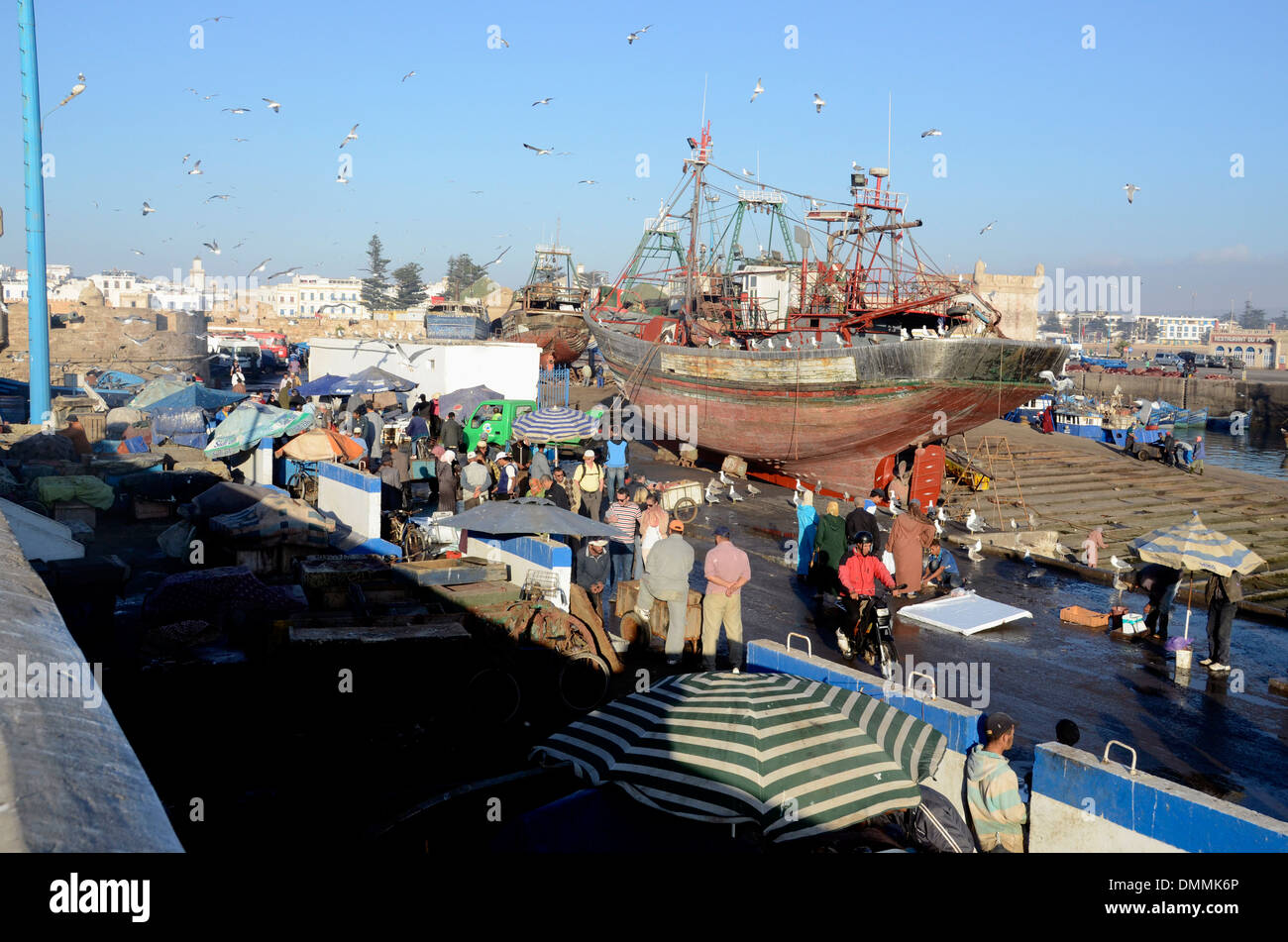 Fisch auf dem Fischmarkt Im Hafen von Essaouira, Marokko Stockfoto