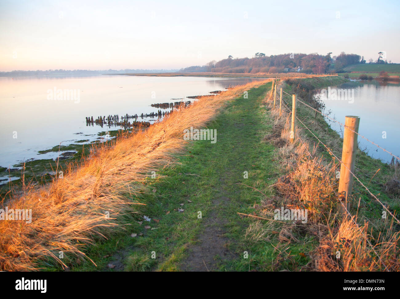 River Deben Flut Wehrmauer over gekrönt von Storm Surge Wasser Ramsholt, Suffolk, England Stockfoto