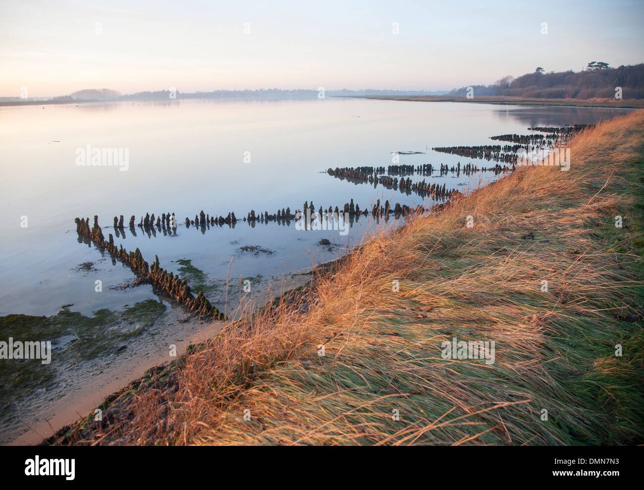 Winterliche Landschaft Fluss Deben bei Sonnenuntergang Ramsholt, Suffolk, England Stockfoto