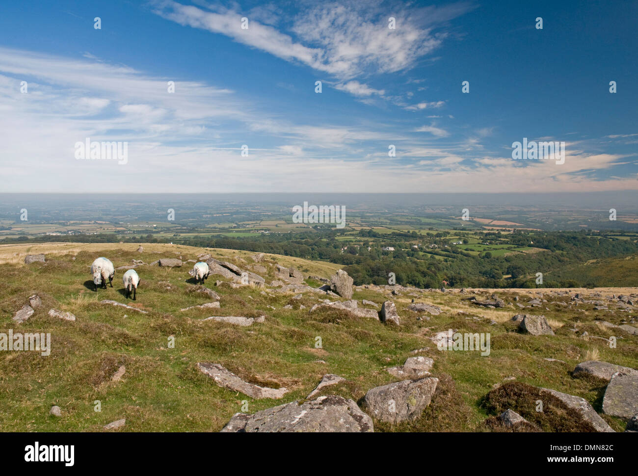 Beeindruckende Dartmoor Landschaft auf Belstone Common, Nord Nord Ost Stockfoto