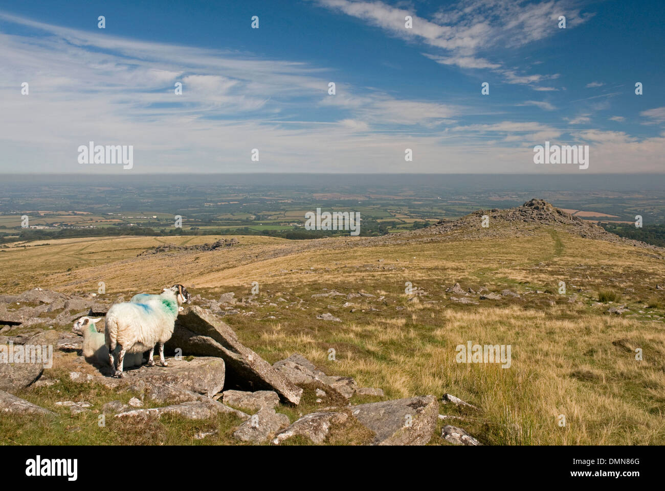 Beeindruckende Dartmoor Landschaft auf Belstone Common, Nord Nord Ost. Stockfoto