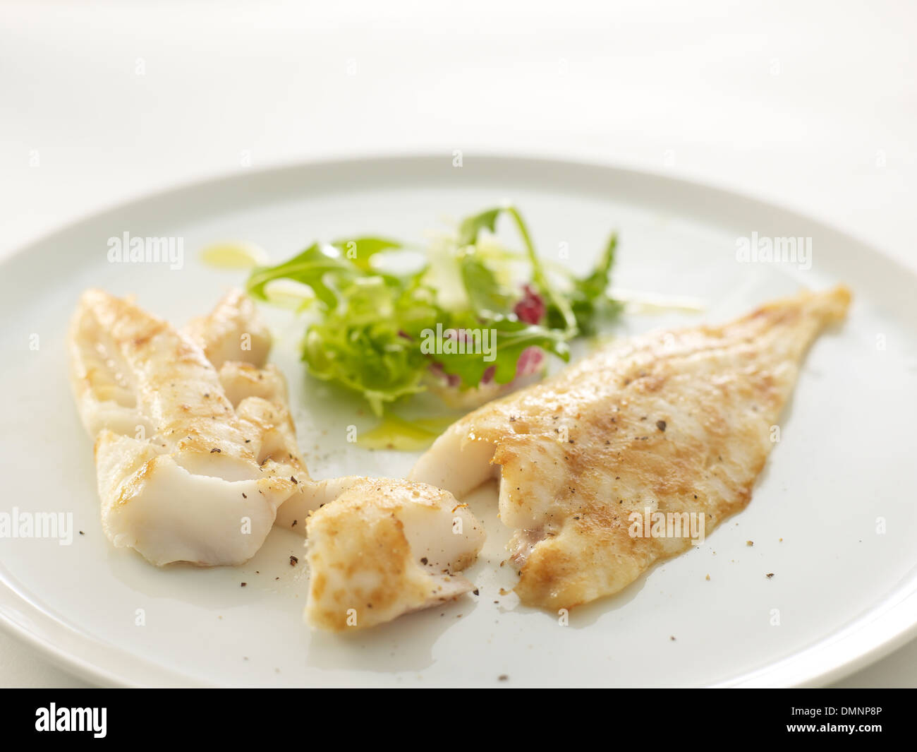 Fisch Salat Abendessen essen Eiweiß essen Stockfoto