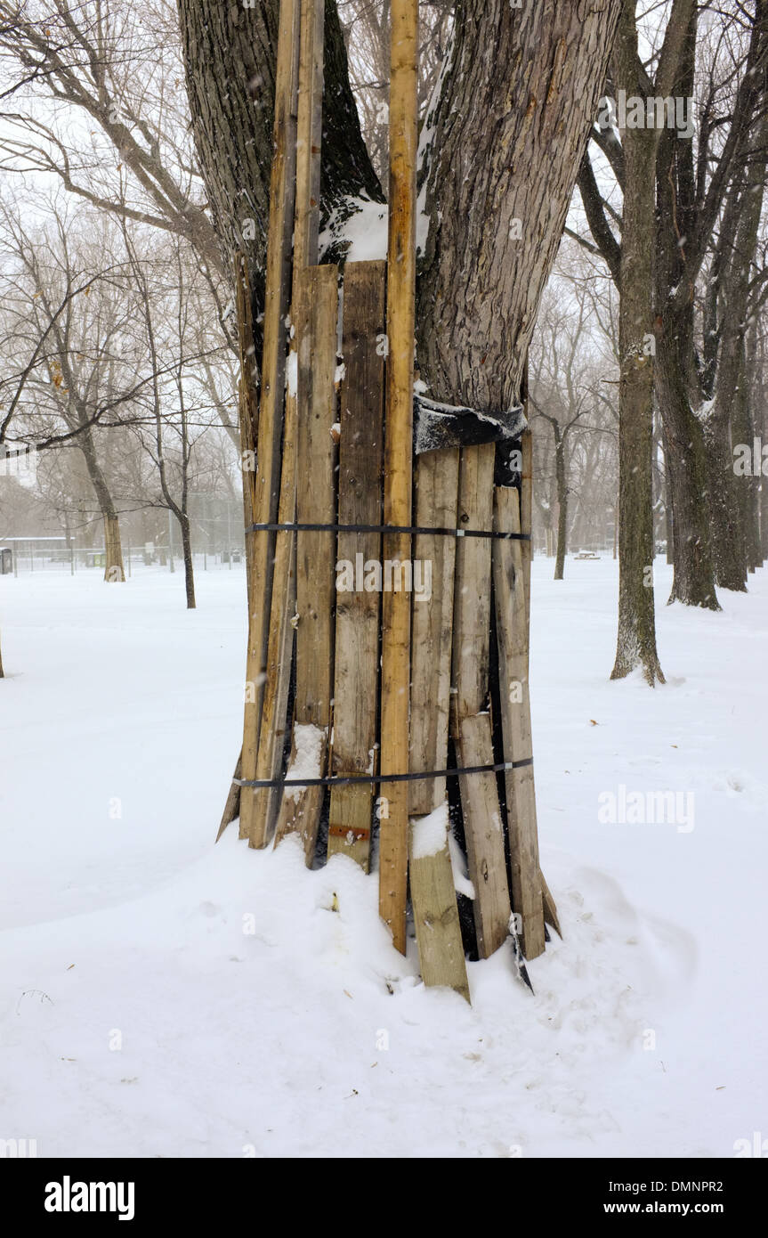 Parc Lafontaine unter einer Schneedecke in Montreal, Quebec. Stockfoto