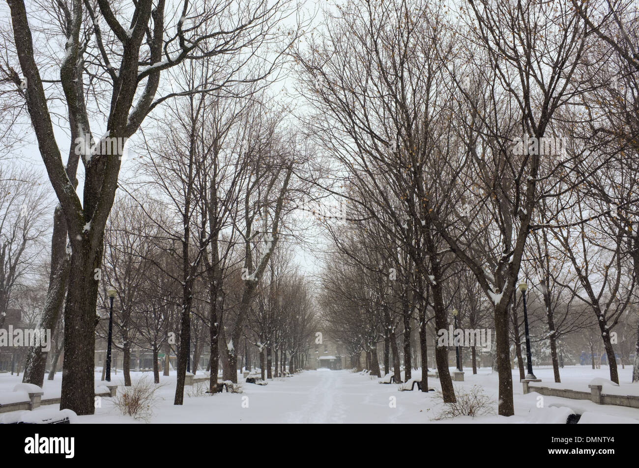 Parc Lafontaine unter einer Schneedecke in Montreal, Quebec. Stockfoto