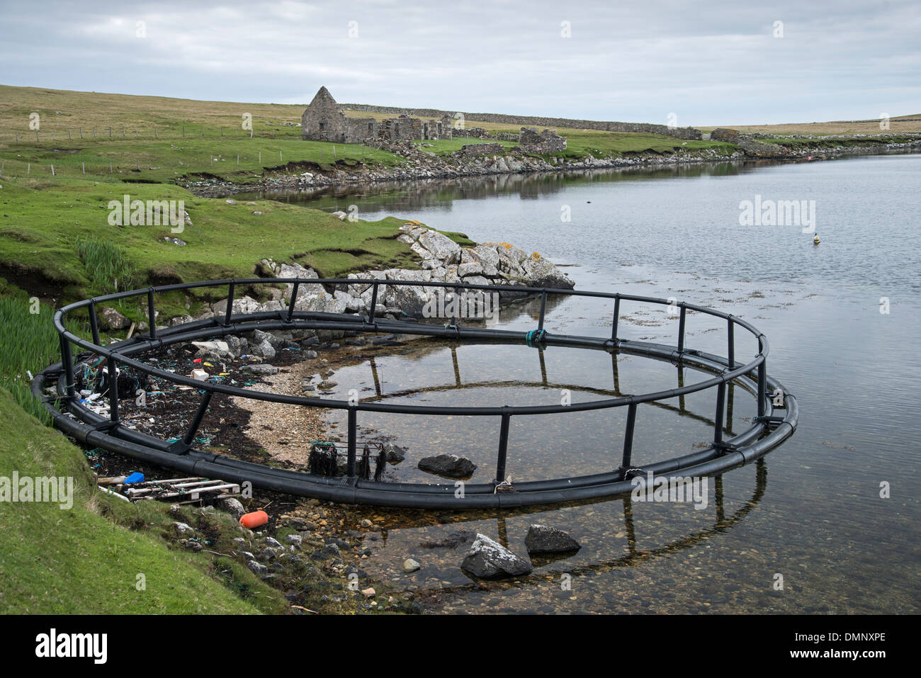 Verworfen, Lachsfarm Gehäuse an Strand gespült. Burravoe, Shetland, Schottland Stockfoto