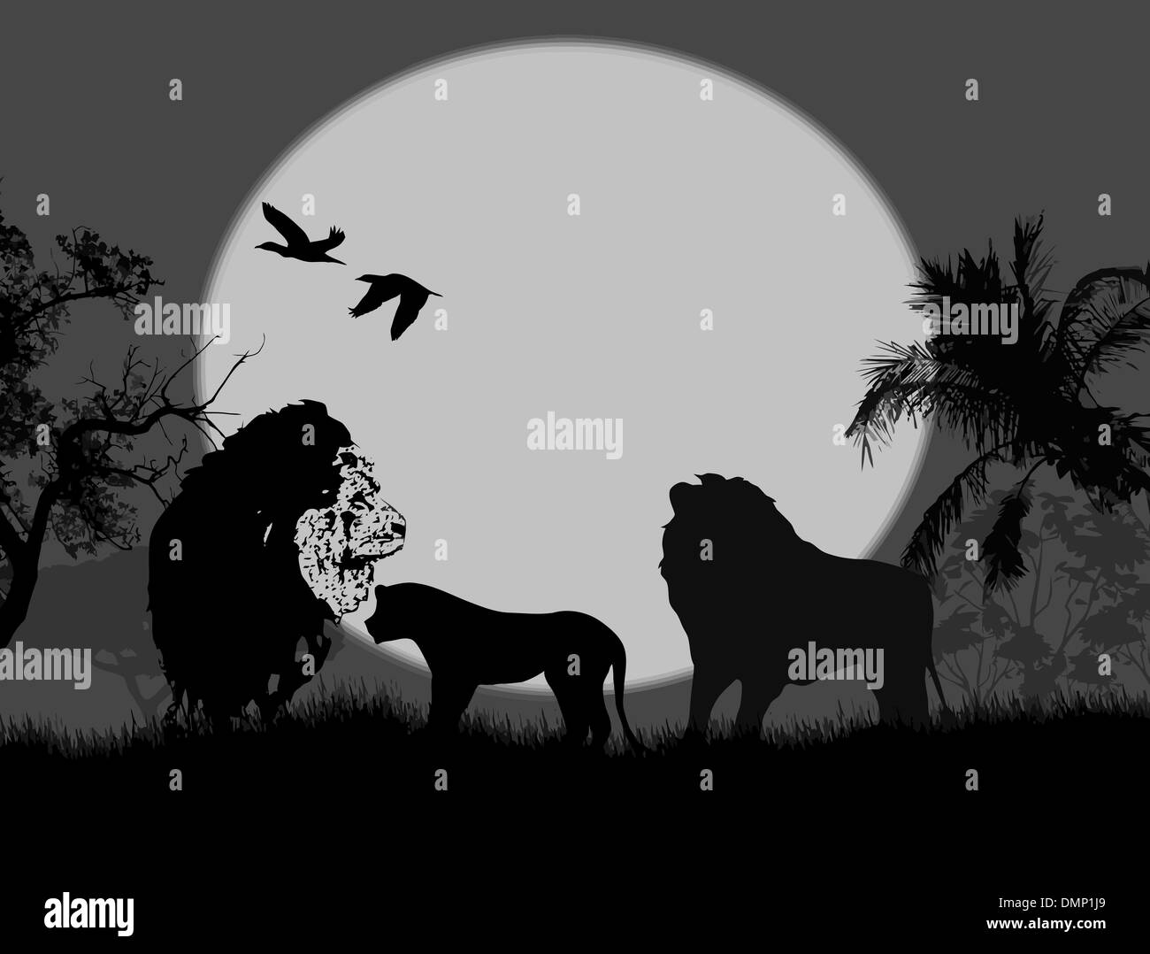 Safari der Löwenfamilie bei Nacht Stock Vektor