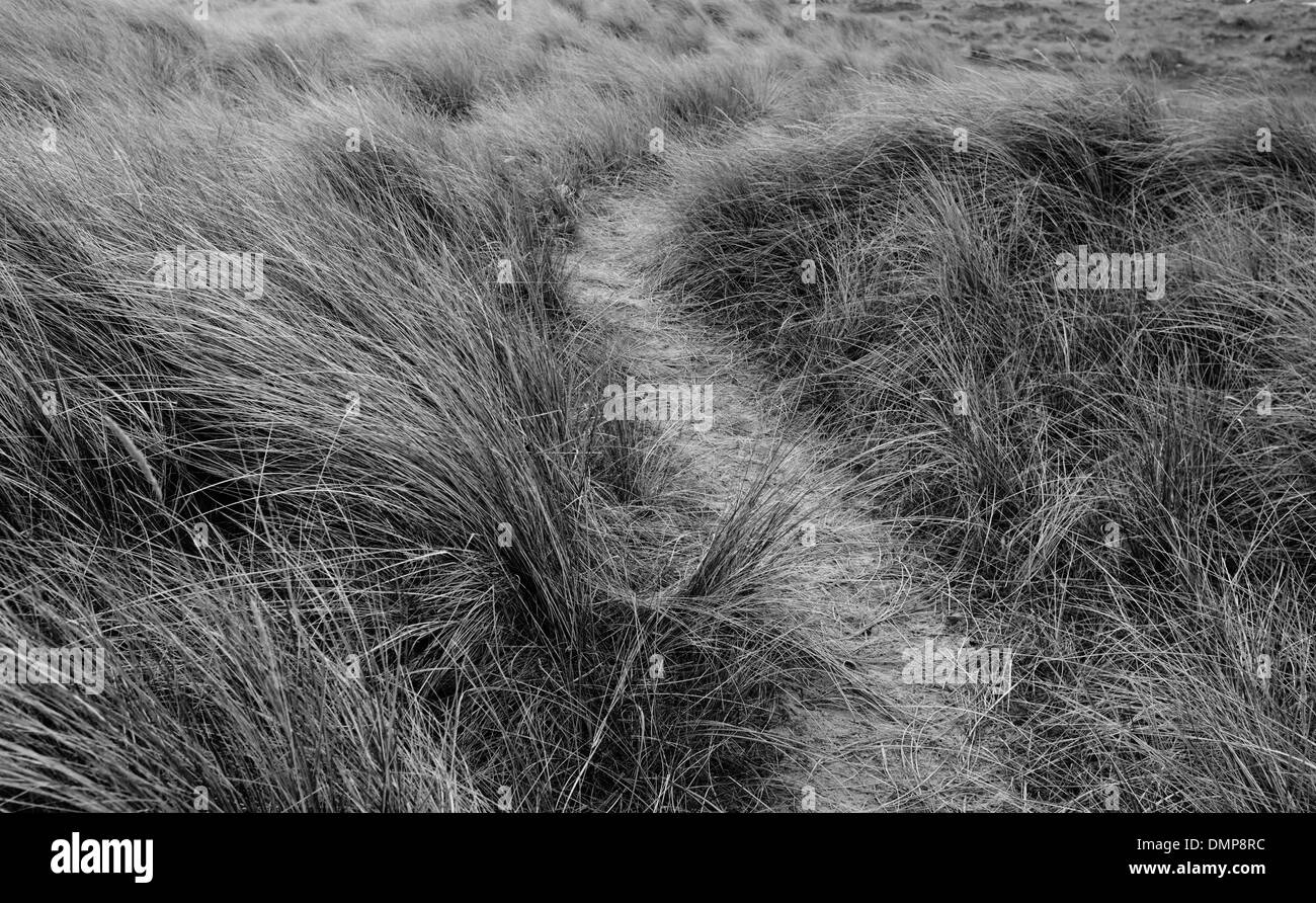 sandigen Pfad schlängelt sich durch Dünengras in Winterton-on-Sea, Norfolk, England Stockfoto