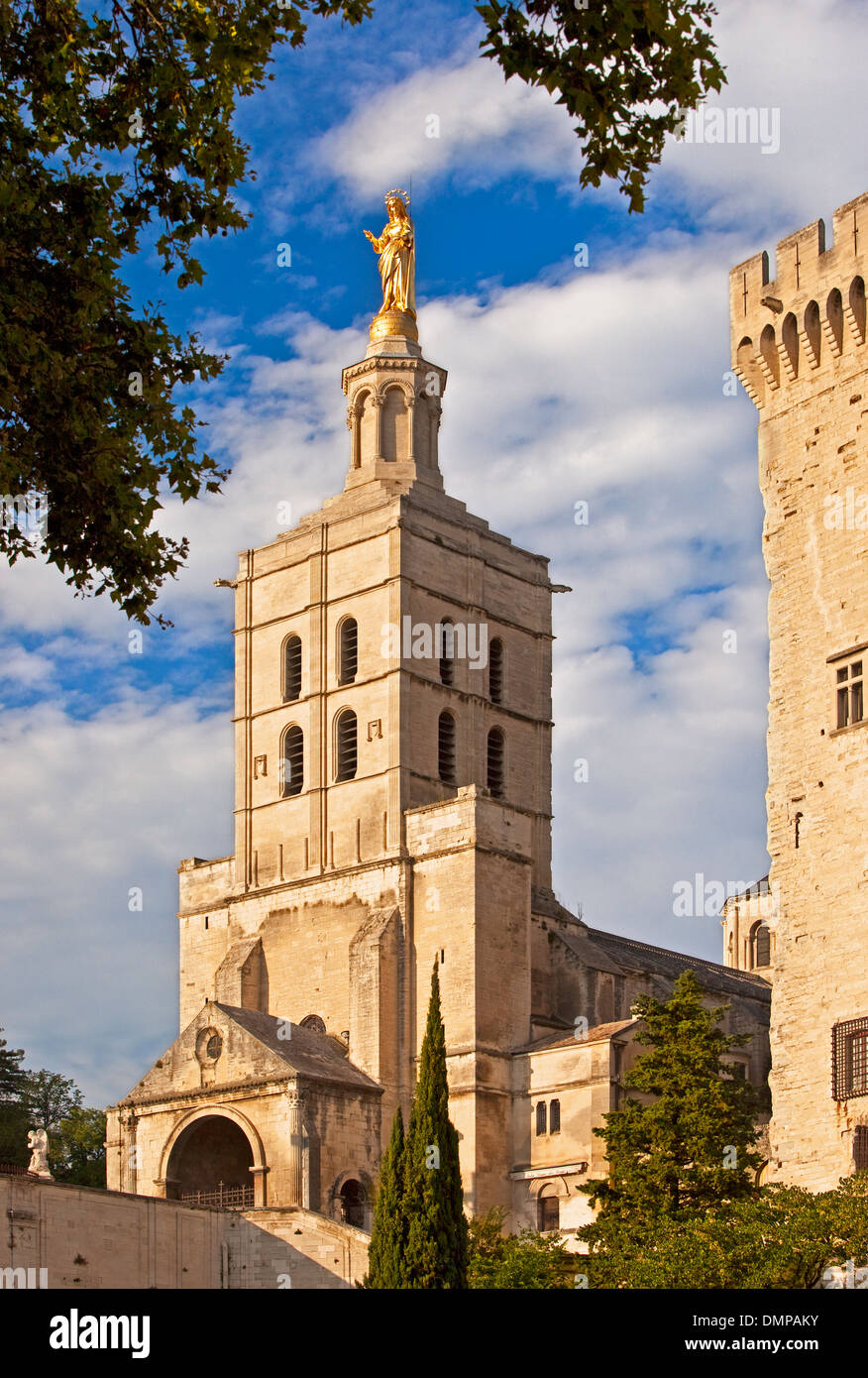 Palais des Papes (Papstpalast), Avignon, Provence Frankreich Stockfoto