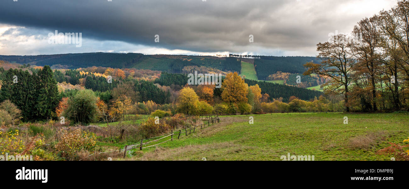 Ländliche Landschaft der belgischen Ardennen zeigt Felder und Wälder in herbstlichen Farben, Wallonien, Belgien Stockfoto