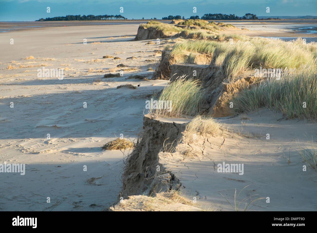 Dünengebieten Dünen beschädigt durch Brandung, Dezember 2013 Stockfoto