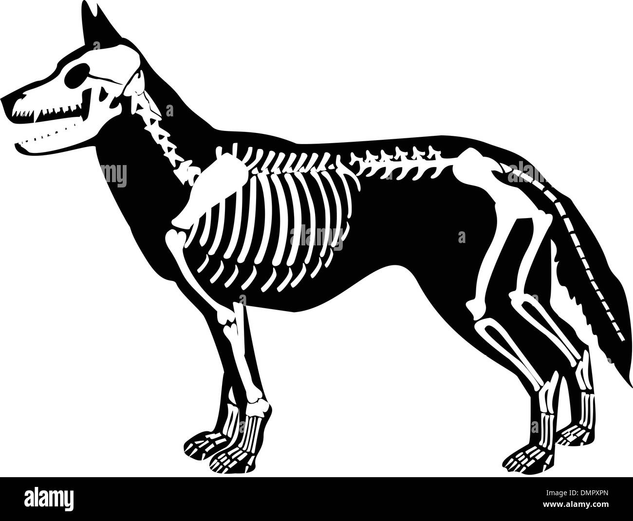 die Halloween-Vektor entwirft Stock Vektor