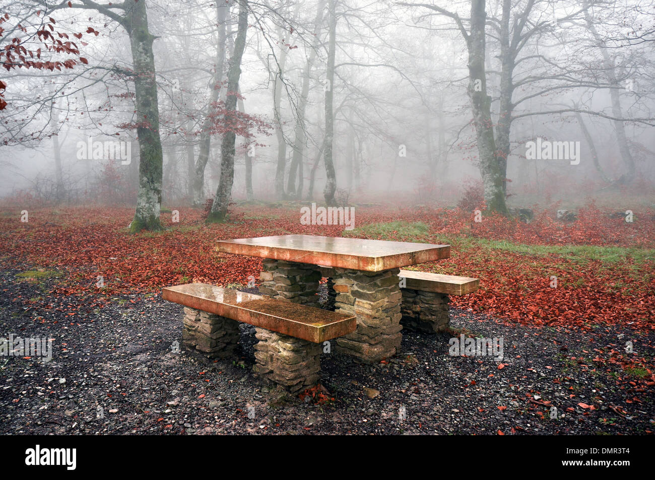 Picknick-Tisch in einem nebligen Wald im Herbst Stockfoto