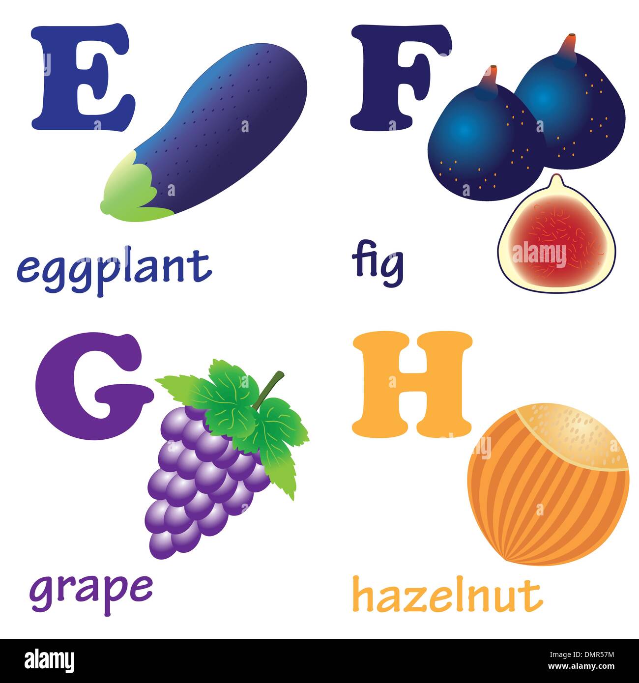Alphabet Buchstaben E-H mit Früchten. Stock Vektor