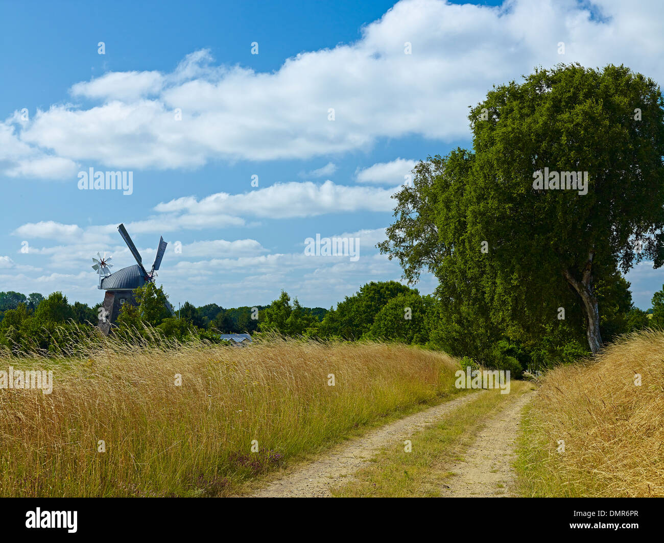Windmühle Marie bei Sterley Kogel, Herzogtum Lauenburg District, Schleswig-Holstein, Deutschland Stockfoto
