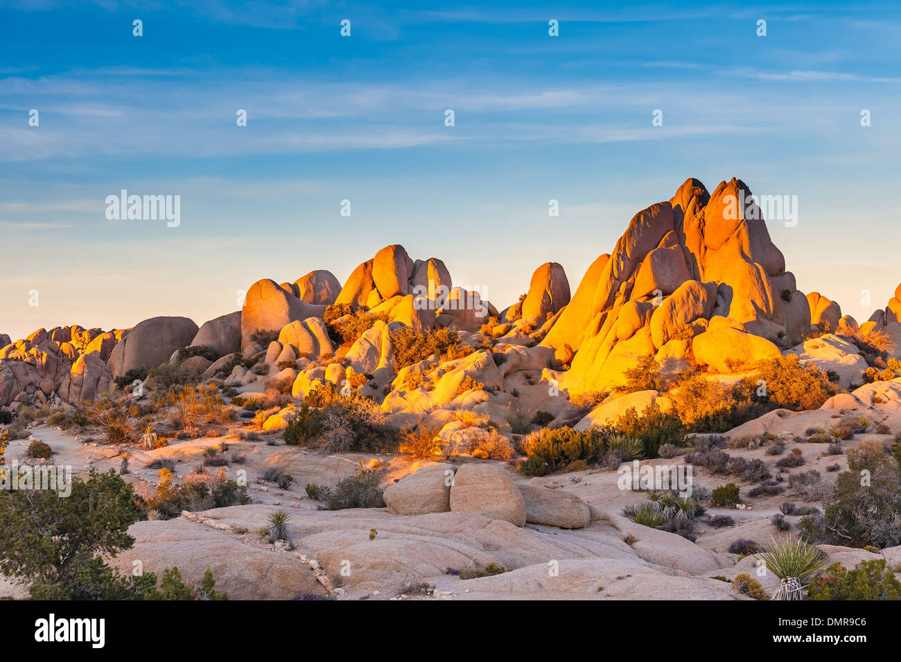 Joshua Tree Nationalpark Stockfoto Joshua Tree Nationalpark Stockfoto