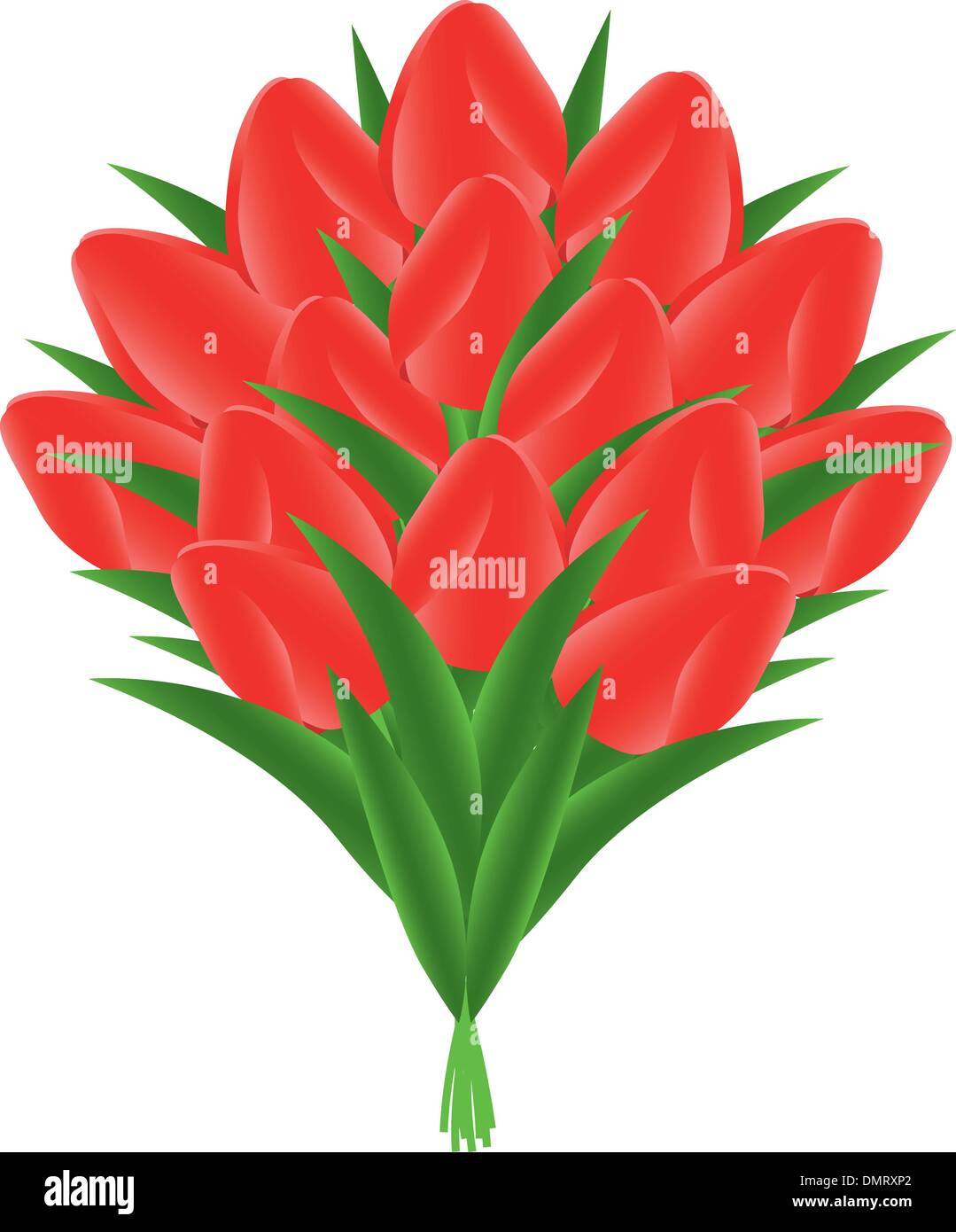Bouquet von roten Tulpen Stock Vektor