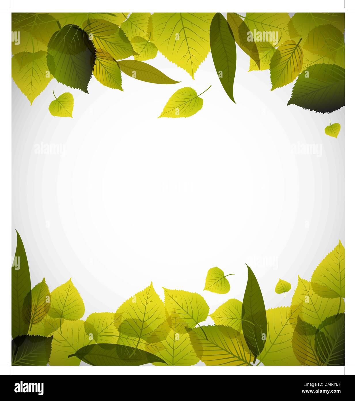 Frühling Blätter abstrakten Hintergrund Stock Vektor