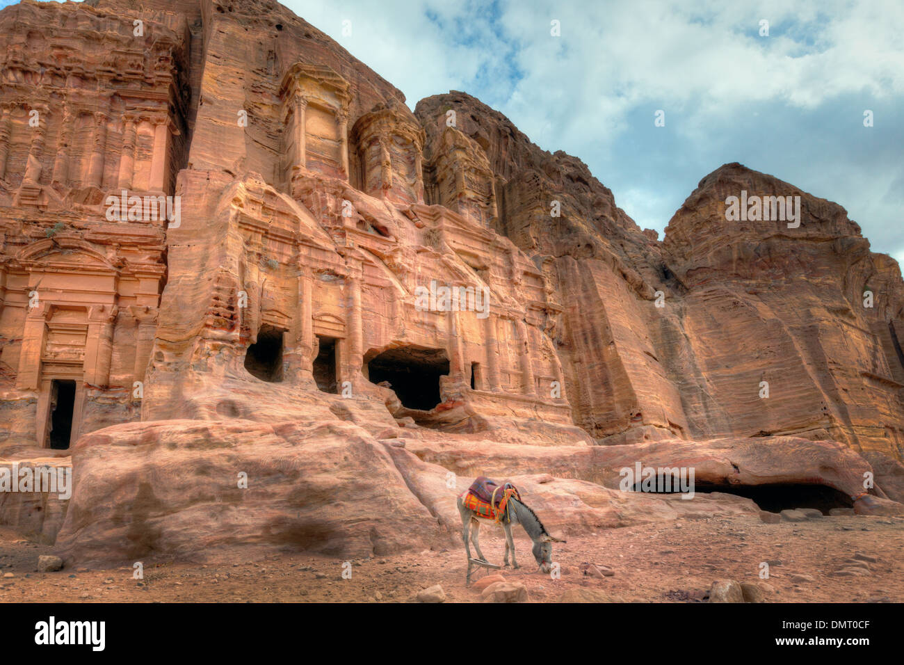 Maultier vor Ruinen in Petra, Jordanien Stockfoto