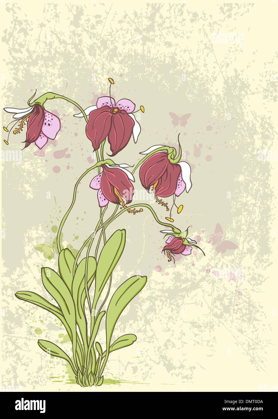 Rote Orchideen Stock Vektor