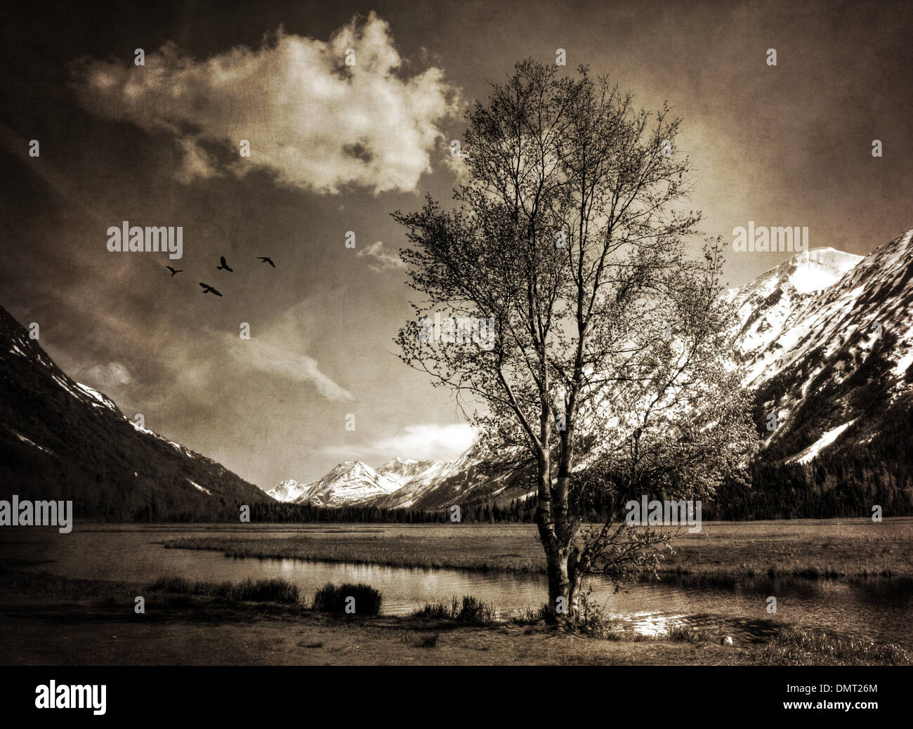 Launisch Alaska-Landschaft mit einer einzigen Birke an einem See mit Texturen für einen Vintage-Look verarbeitet. Stockfoto