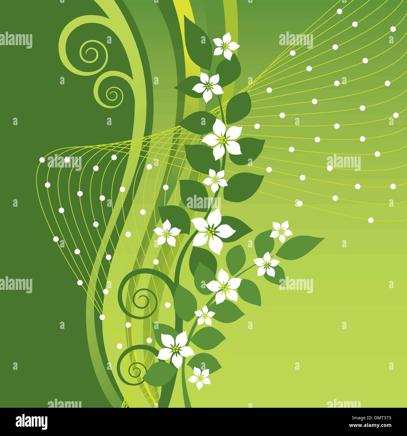 White Jasmine Blumen auf grünen Wirbel Hintergrund Stock Vektor