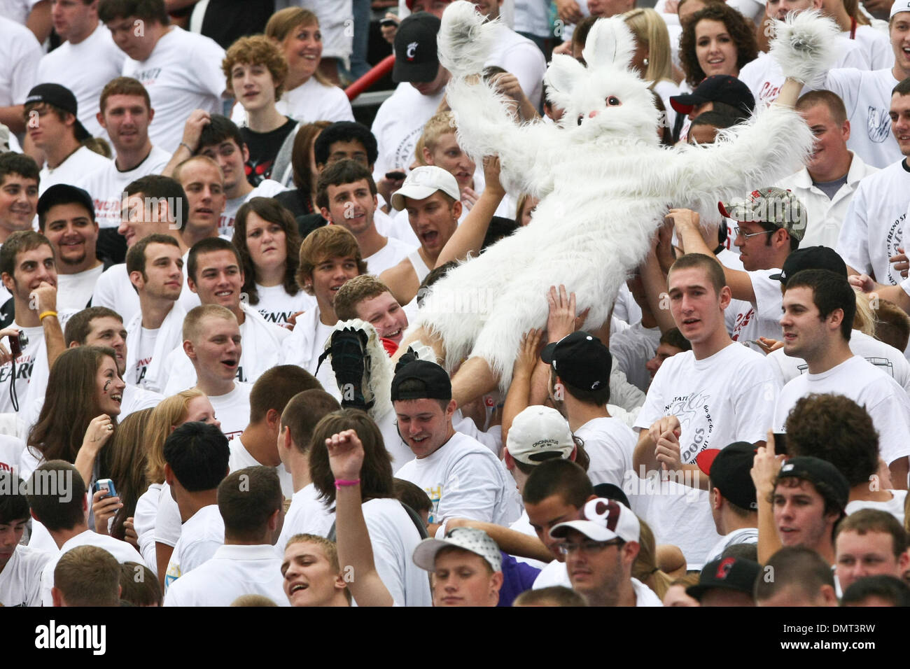 26. September 2009: Fresno State University of Cincinnati. Nippert Stadion: UC-Fans (Kredit-Bild: © John Longo/Southcreek Global/ZUMApress.com) Stockfoto