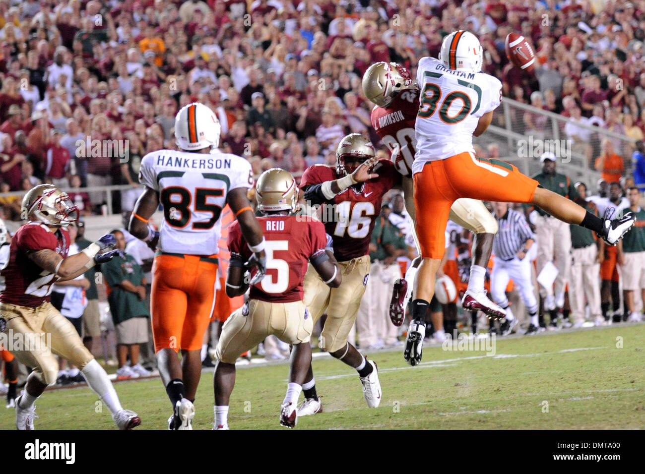 Miami-Tight-End, Jimmy Graham, ist nicht in der Lage, einen Pass während Montagabend-Spiel zwischen der Florida State Seminolen und den Miami Hurricanes Doak Campbell Stadium zu fangen.  Miami wäre das Spiel 38-34 zu gewinnen. (Kredit-Bild: © Stacy Revere/Southcreek Global/ZUMApress.com) Stockfoto