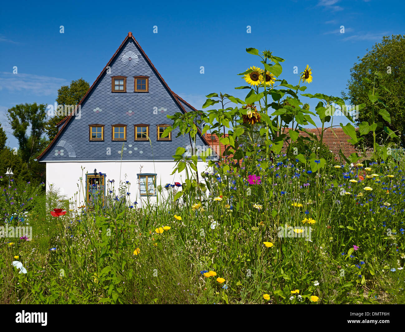 Haus mit Garten in Bad Schandau, Sächsische SchweizOstErzgebirge