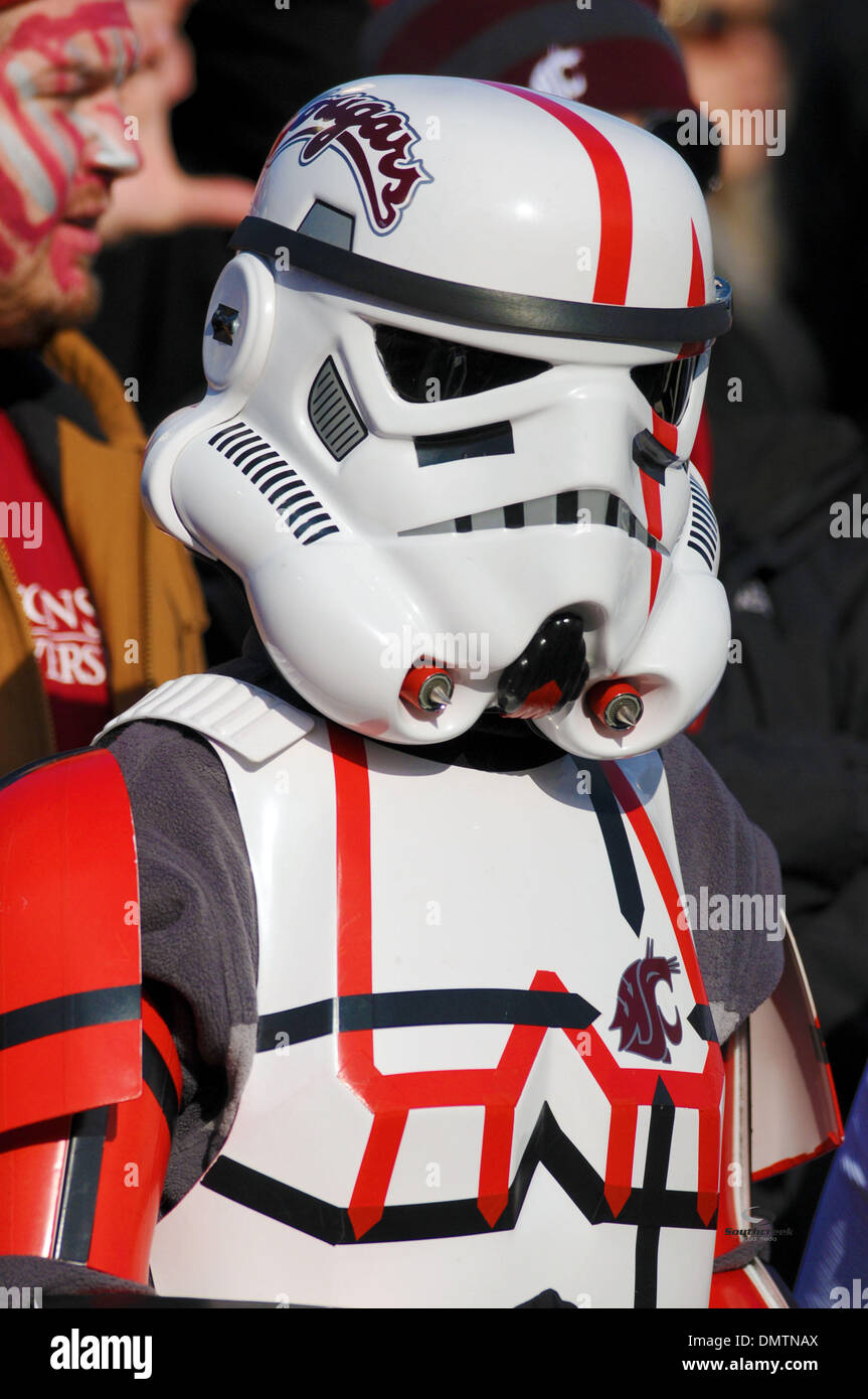 Ein Fan von Washington St. blickt auf in eine NCAA College-Football-Spiel gegen UCLA im Clarence D.Martin Stadium in Pullman, WA. (Kredit-Bild: © James Snook/Southcreek Global/ZUMApress.com) Stockfoto