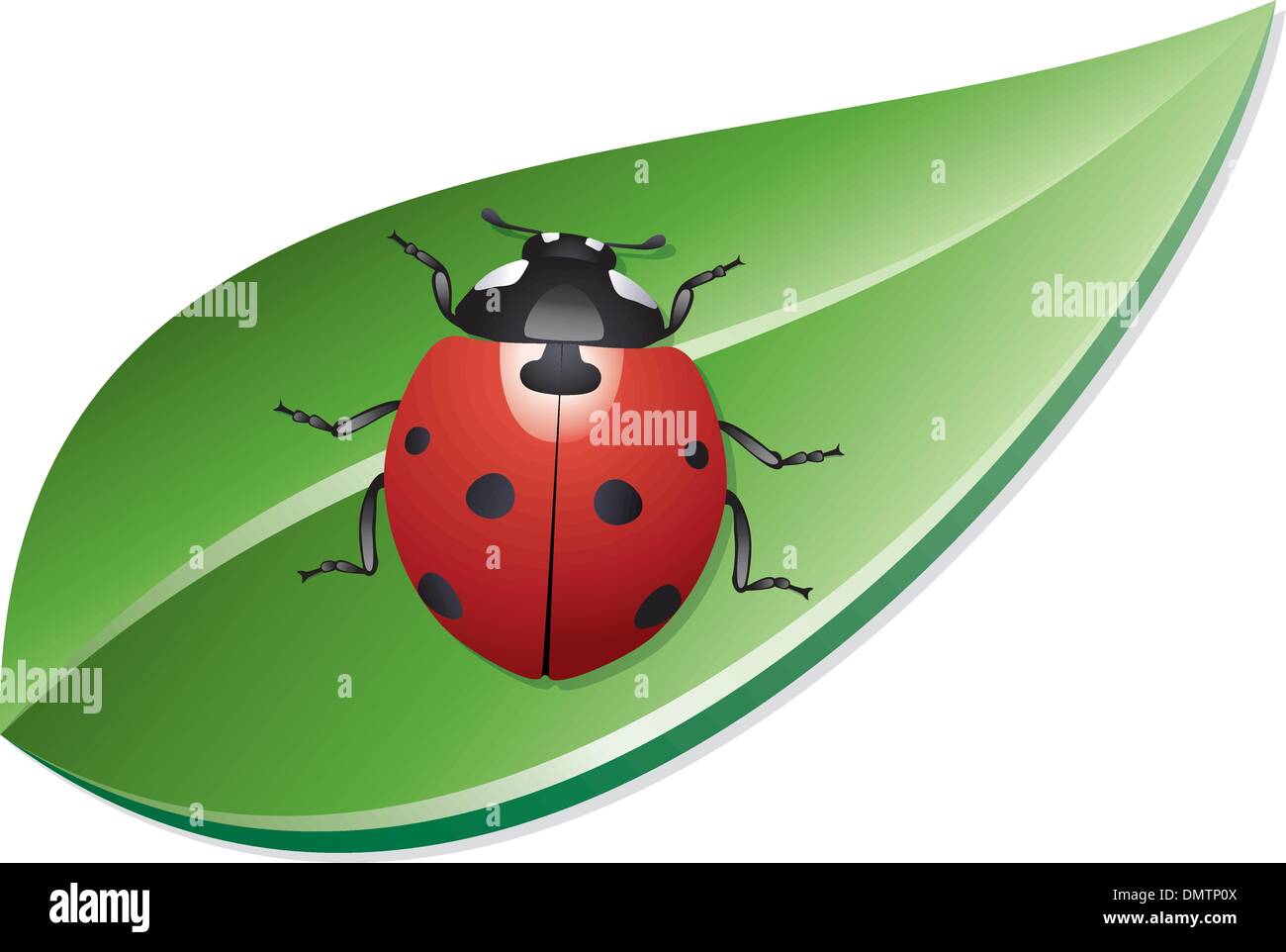 Vektor-Marienkäfer auf einem Blatt Stock Vektor