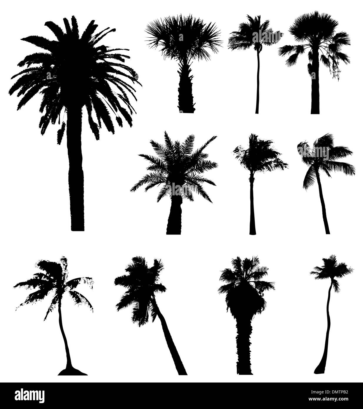 Sammlung von Vector Palm Bäume Silhouetten. Einfach zu bearbeiten, alle s Stock Vektor