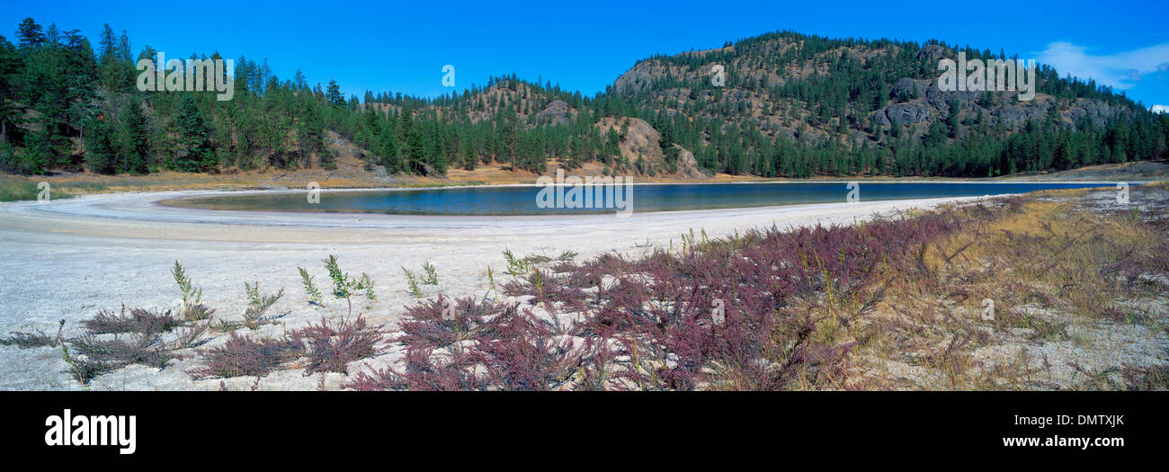Mahoney Lake Ecological Reserve in der Nähe von Okanagan Falls, South Okanagan Valley, BC, Britisch-Kolumbien, Kanada - Panoramablick Stockfoto