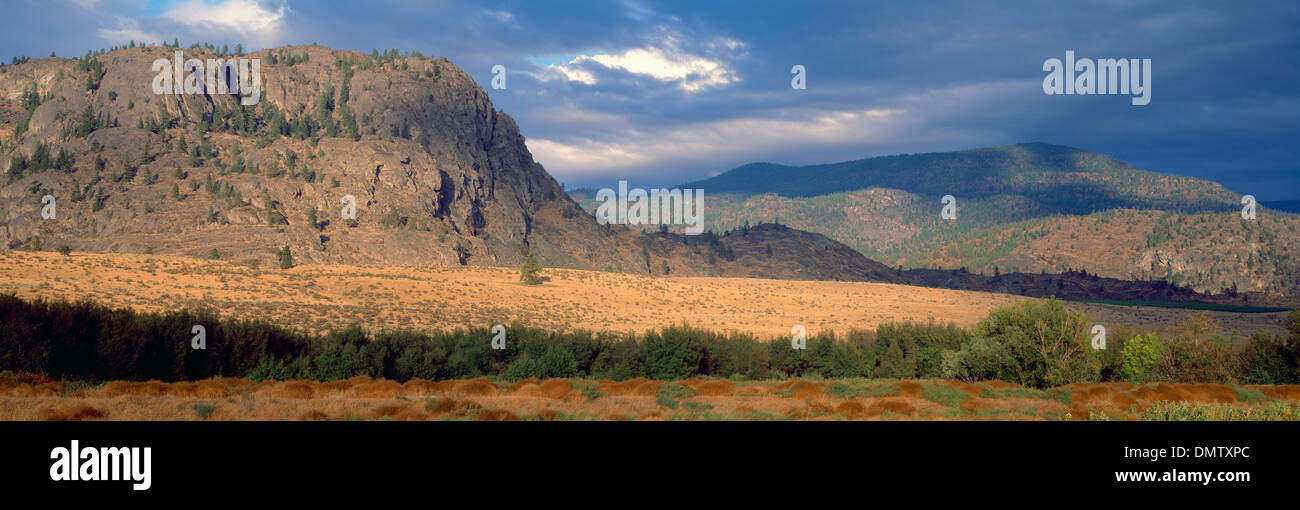 South Okanagan Valley in der Nähe von Osoyoos, BC, Britisch-Kolumbien, Kanada - Gewitter über Berge & Tasche Wüste - Panoramablick Stockfoto