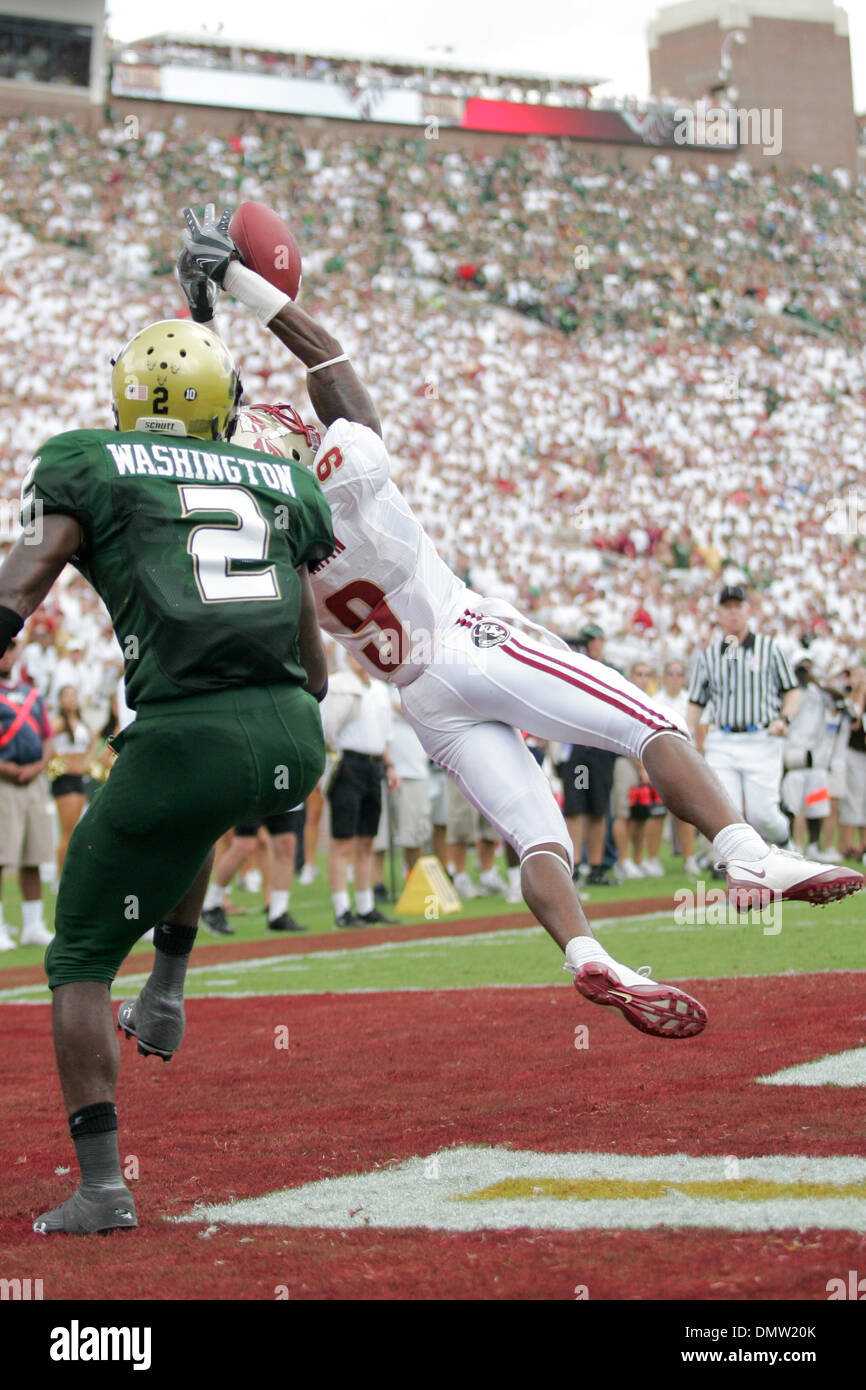 26. September 2009 - Tallahassee, Florida, USA - 26. September 2009: Florida State Wide Receiver Richard Goodman (9) vermisst einen Haken im dritten Quartal. Die University of South Florida Bulls gewann 17-7 in diesem Mittag Spiel im Doak S. Campbell Stadium in Tallahassee, FL. (Credit-Bild: © Southcreek Global/ZUMApress.com) Stockfoto