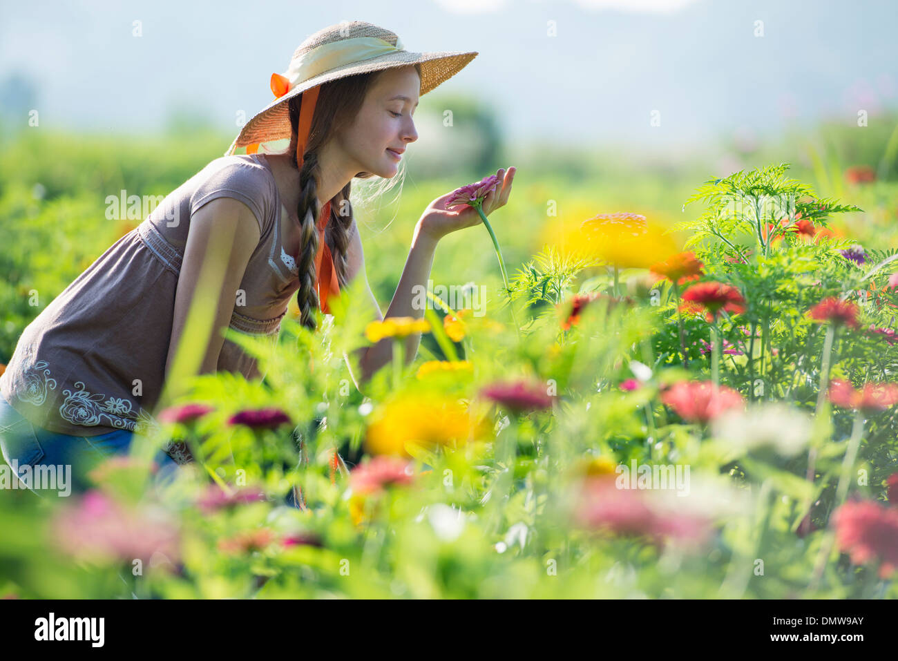 Im Sommer auf einem Bio-Bauernhof. Eine junge Frau in einem Feld von Blumen. Stockfoto