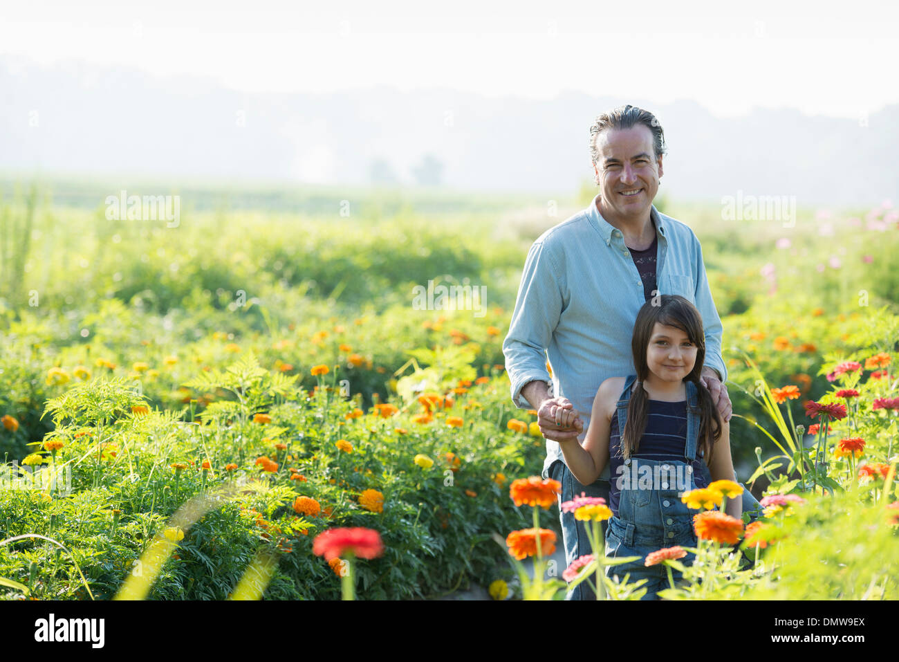 Im Sommer auf einem Bio-Bauernhof. Ein Mann und ein Mädchen in einem Feld von Blumen. Stockfoto