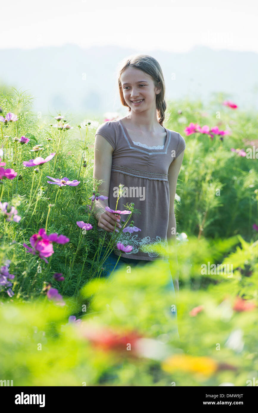 Im Sommer auf einem Bio-Bauernhof. Ein junges Mädchen in einem Feld von Blumen. Stockfoto