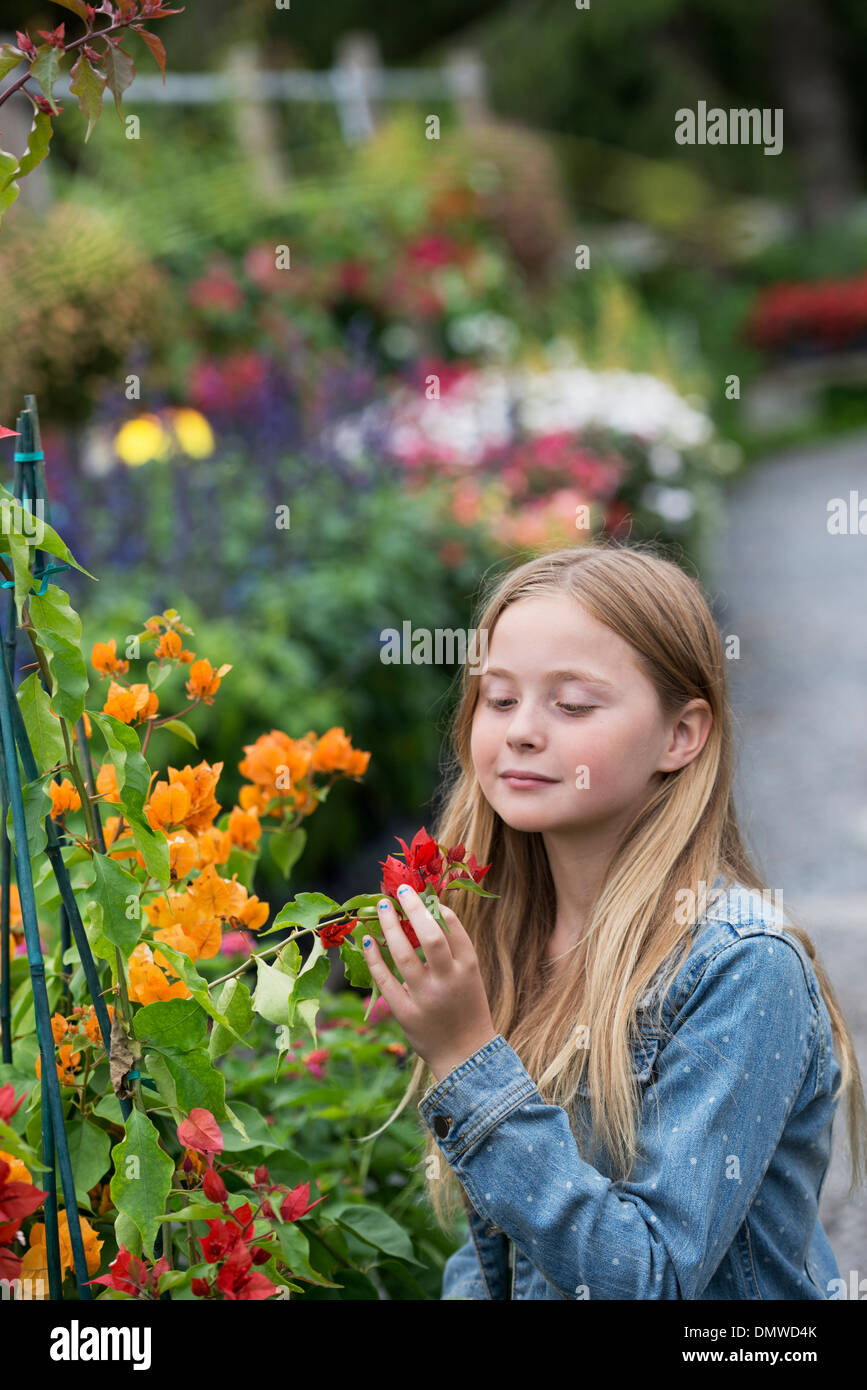 Ein Bio-Blumen-Gärtnerei. Ein junges Mädchen Blumen betrachten. Stockfoto