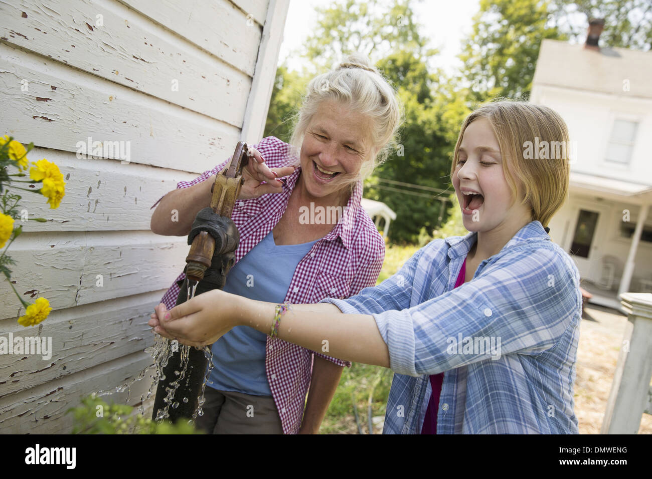 Ein Familien-Sommer-Garing auf einem Bauernhof. Ein gemeinsames Essen eine Heimkehr. Stockfoto