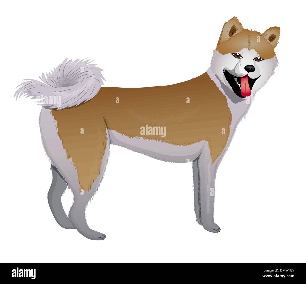Akita Inu-japanischer Hund Stock Vektor