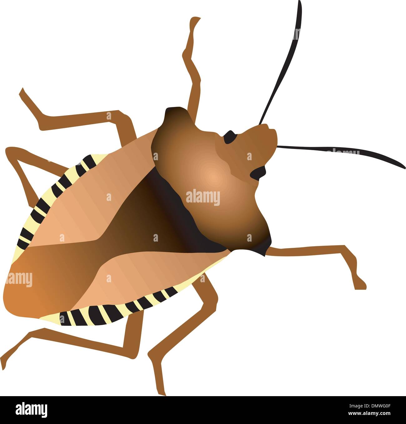 Abbildung des Wald-bug Stock Vektor