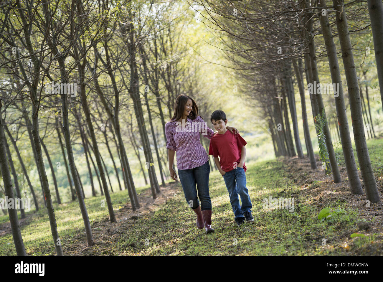 Eine Frau und ein Kind zu Fuß hinunter eine Allee von Bäumen. Stockfoto