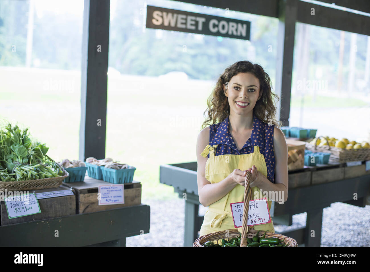 Ein Bio-Obst und Gemüse Bauernhof. Eine Frau trägt einen Korb mit Zutaten. Stockfoto
