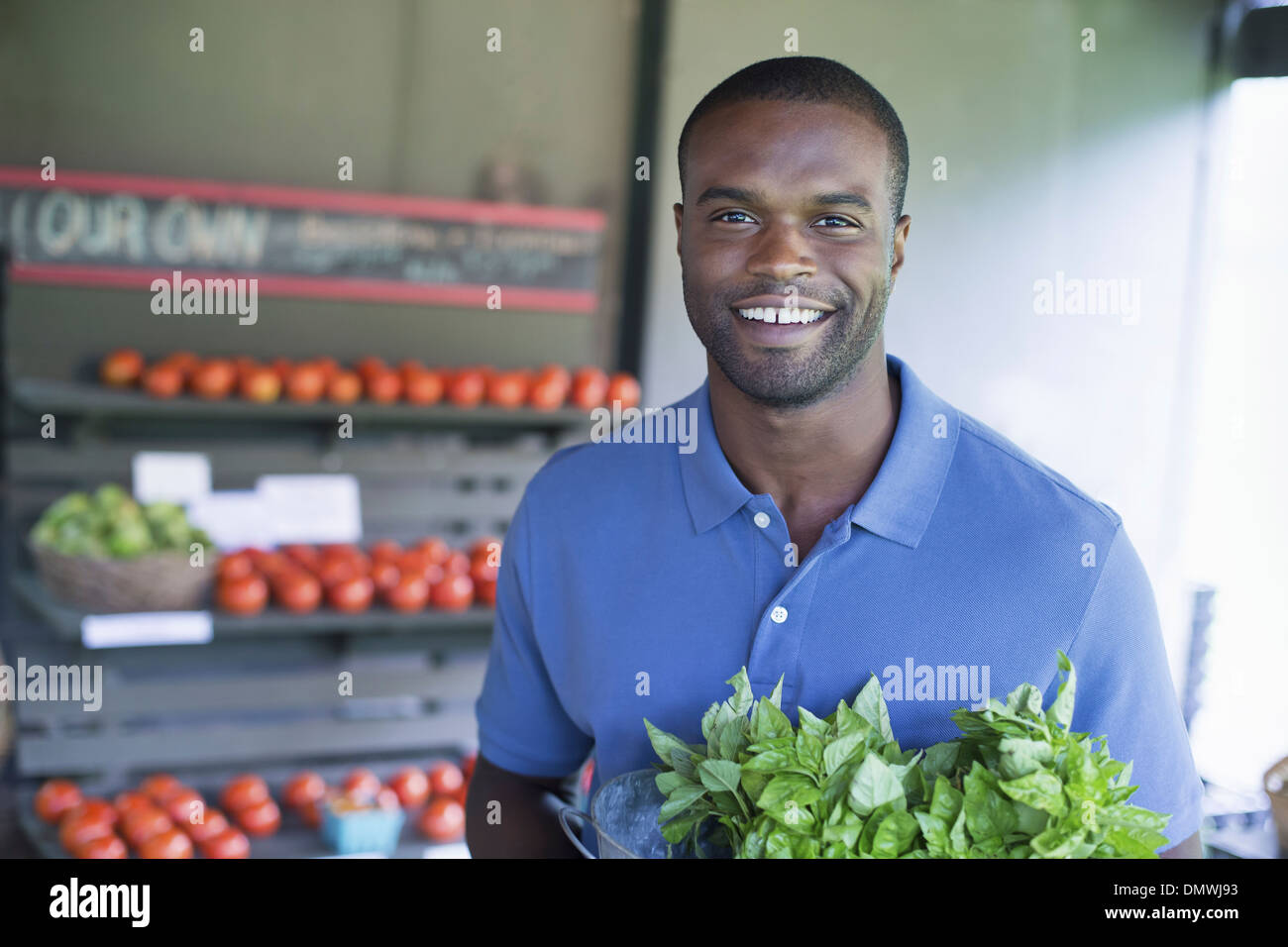 Ein Bio-Obst und Gemüse Bauernhof. Ein Mann mit Gemüse. Stockfoto