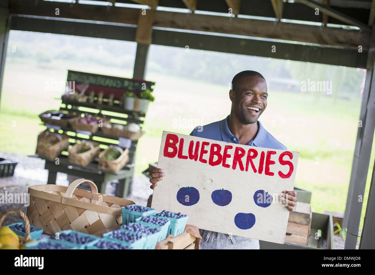 Ein Bio-Obst und Gemüse Bauernhof. Eine Person mit einem Schild Heidelbeeren. Stockfoto