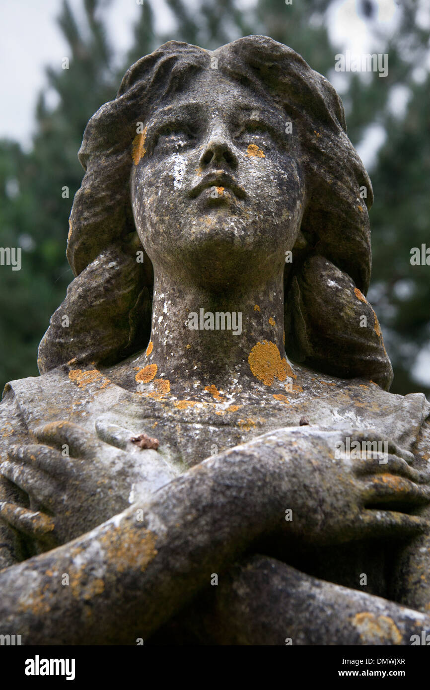 Flechten bedeckt Steinkopf eines Engels aus einem Grabmonument Stockfoto